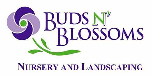 logo buds n blossoms